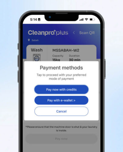 Cleanpro Plus select the 2 options of payment method